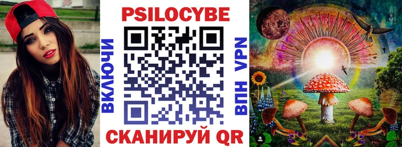 купить   Енисейск  Галлюциногенные грибы Psilocybe 
